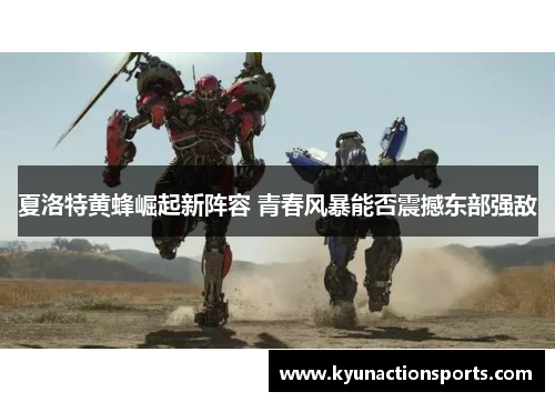 夏洛特黄蜂崛起新阵容 青春风暴能否震撼东部强敌
